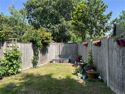 Picture 17